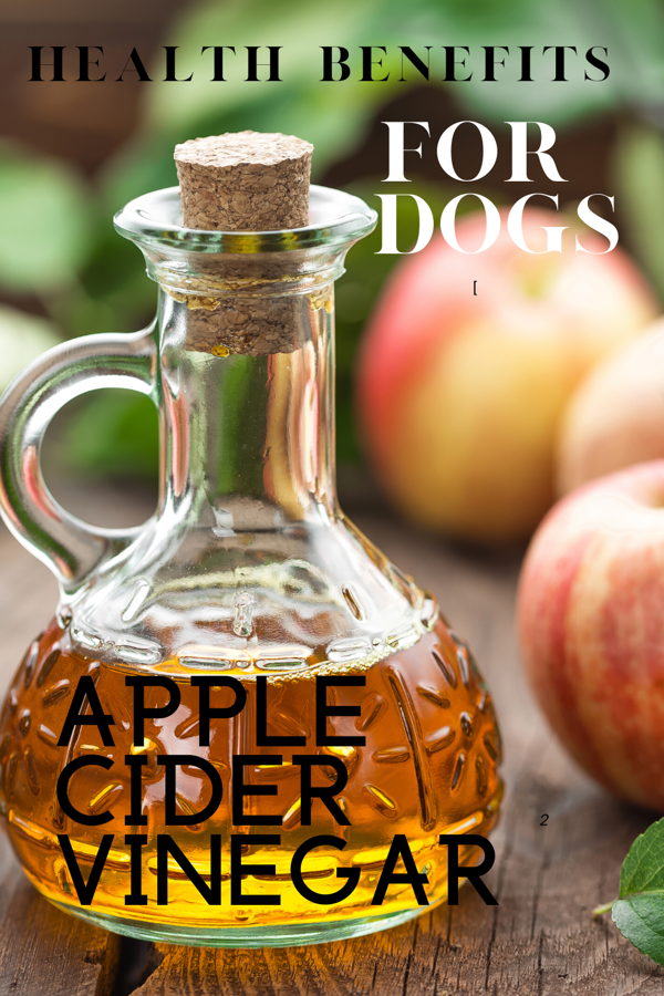 How Cider Vinegar Helps Arthritis in Dogs