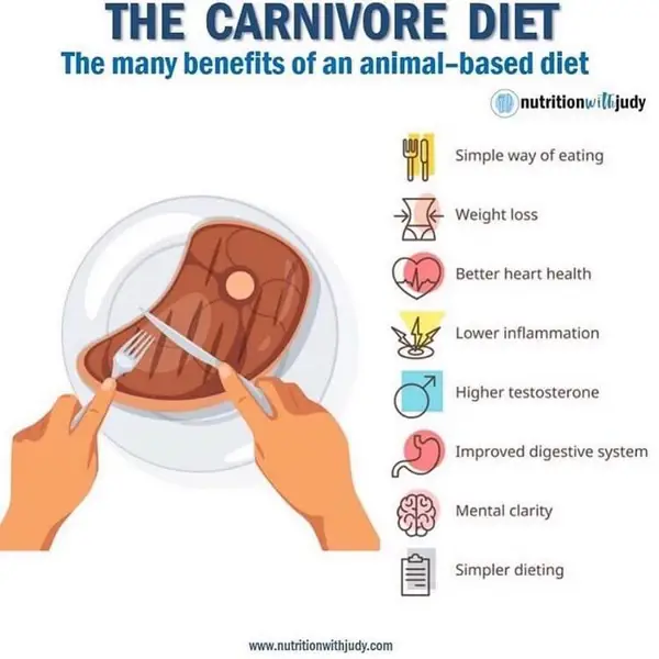 Timeline of Carnivore Diet Benefits