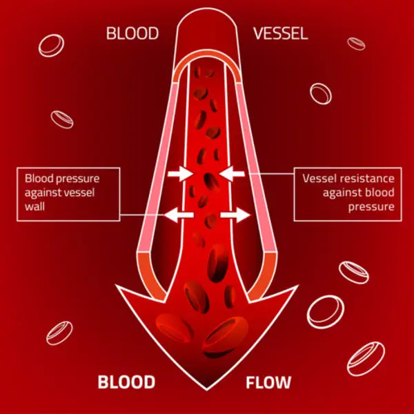how can i increase my blood flow quickly