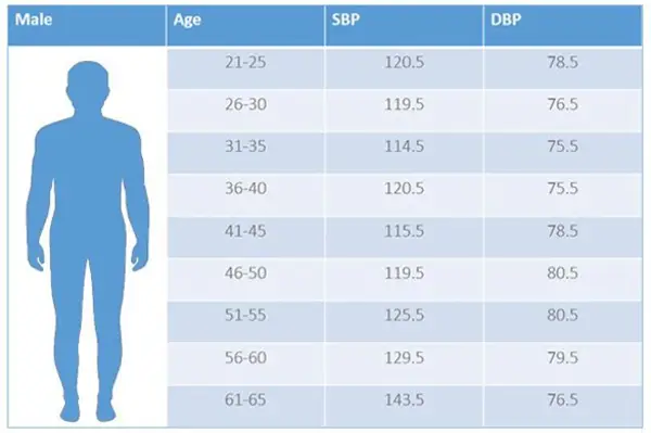 Blood Pressure Normal Range by Gender