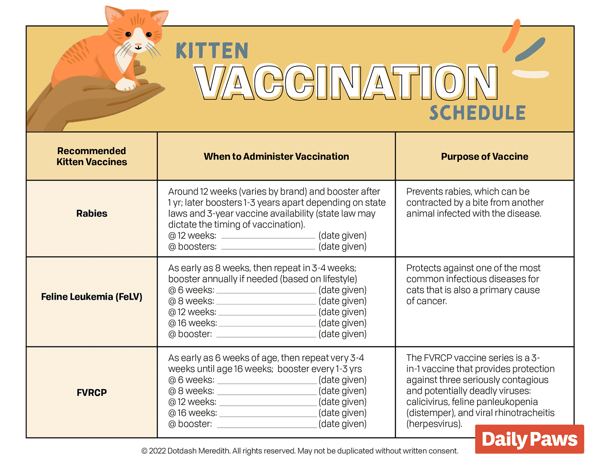When to Administer Rabies Booster Shots