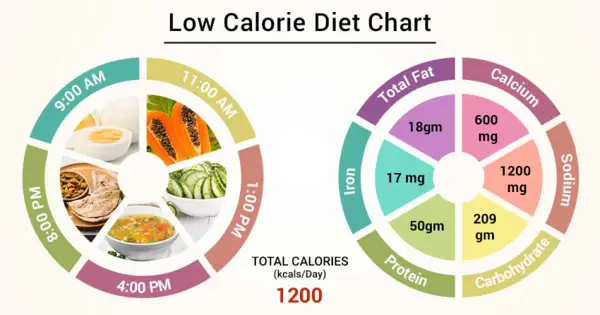 Definition of Very Low-Calorie Diet
