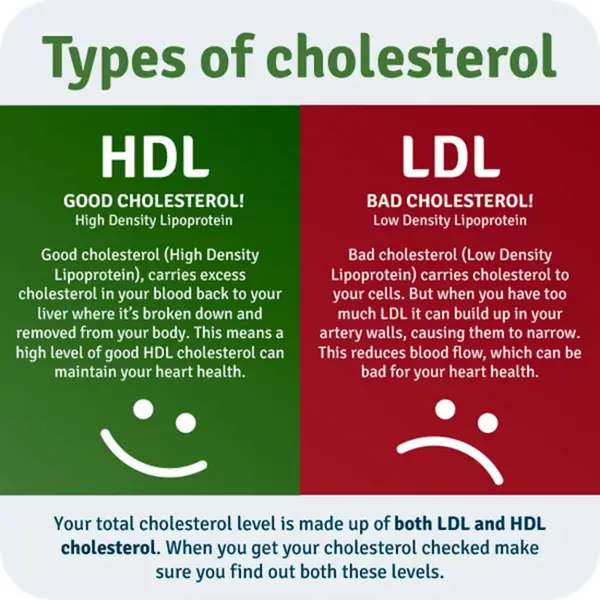 Health Impacts of High VLDL Cholesterol