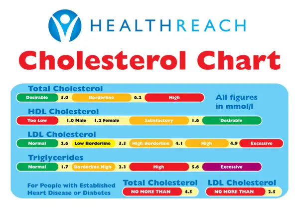 Preventing High LDL Cholesterol