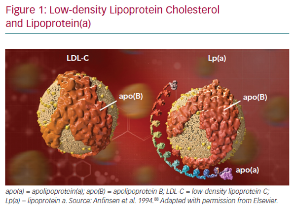 Regulation of LDL Cholesterol Levels