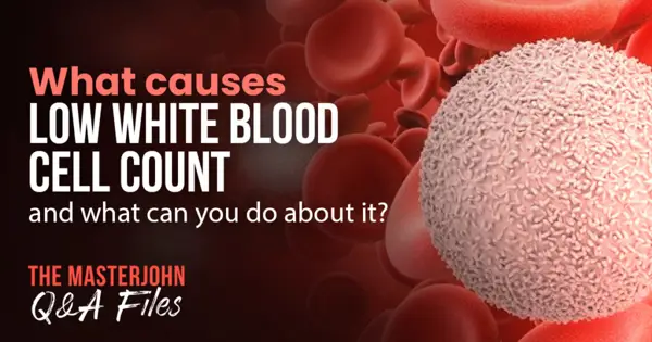 Connection Between Low White Blood Cell Count and High Cholesterol