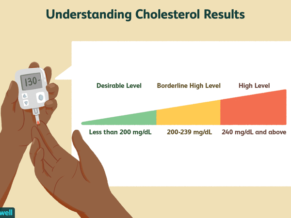 the medical term that describes elevated levels of cholesterol and fatty substances in the blood is