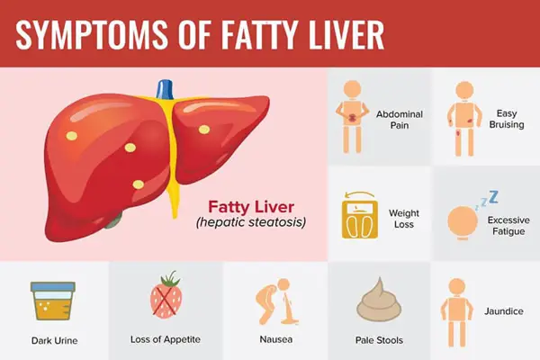 Liver Diseases and their Impact on Cholesterol Levels