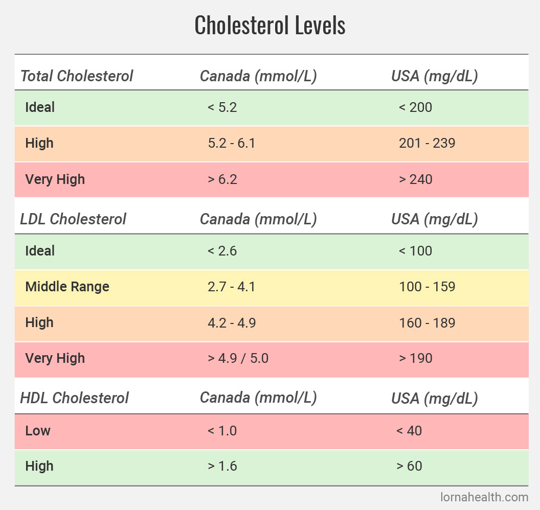 3. Factors Affecting HDL Cholesterol Levels