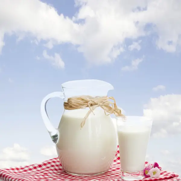 is skim milk good for lowering cholesterol