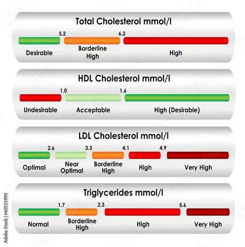 Factors Affecting Cholesterol Levels