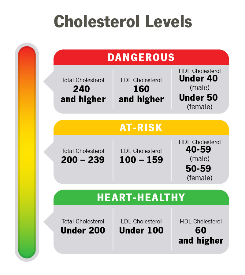 Maintaining Optimal Cholesterol Levels