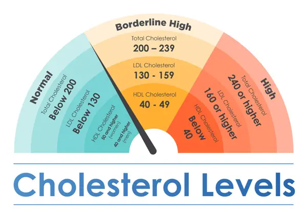 Significance of 5.6 Cholesterol Level