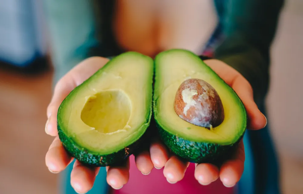 Avocado and Cholesterol Levels