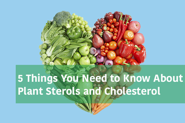 Health Benefits of Plant Sterols