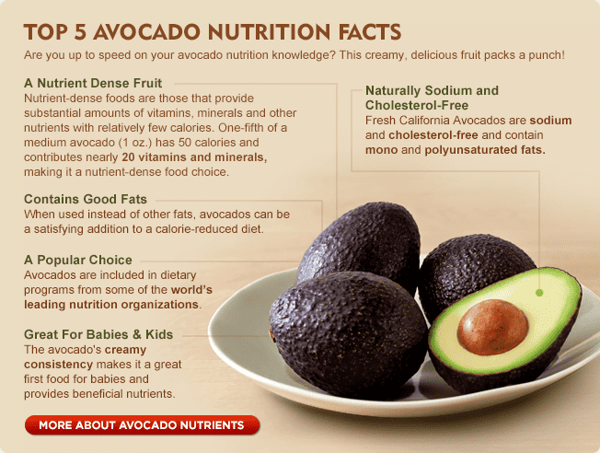 avocado high cholesterol levels