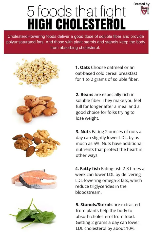 how quickly does diet affect cholesterol levels