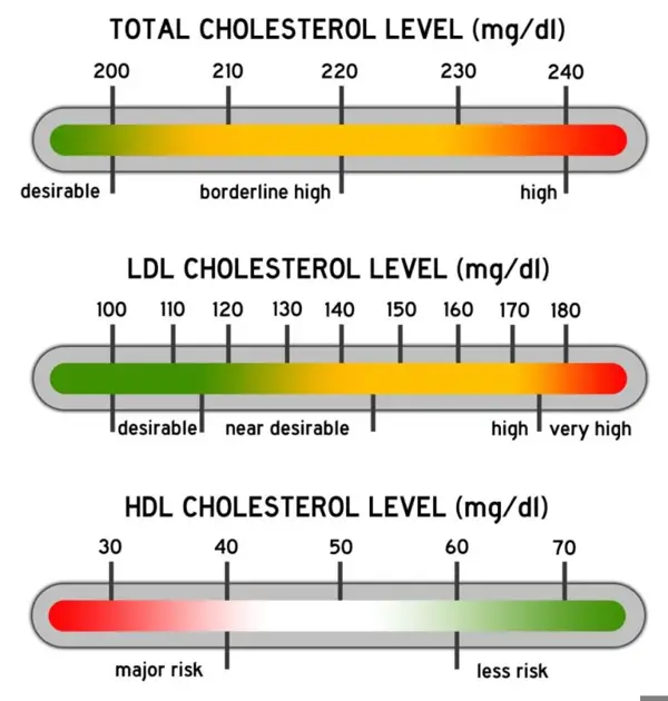 2. Why is Serum Non HDL Cholesterol Important?