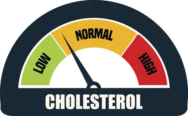 What is Non HDL Cholesterol?