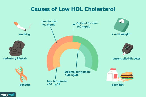 Factors Affecting Cholesterol HDL Ratio