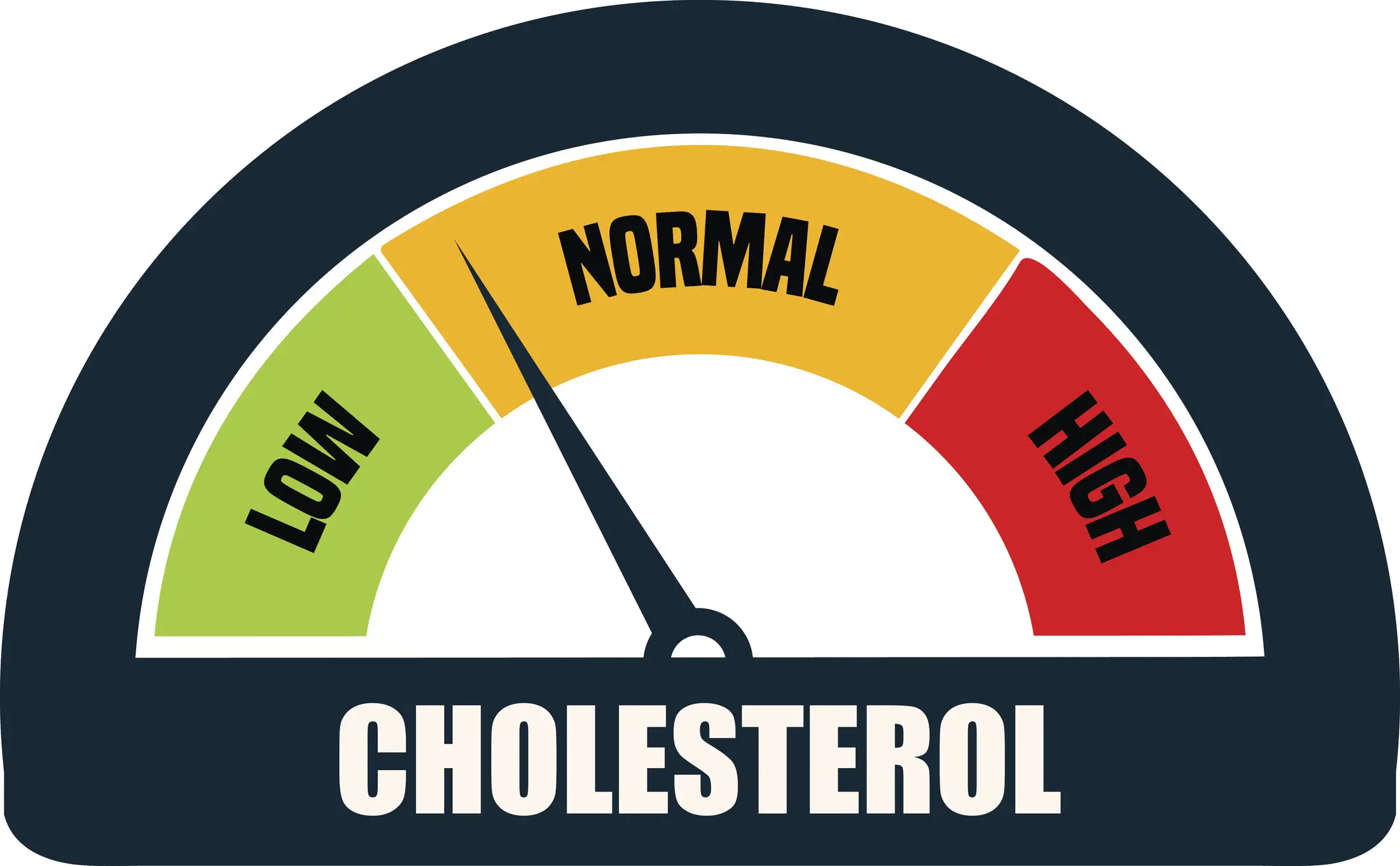 What is Cholesterol Ratio?
