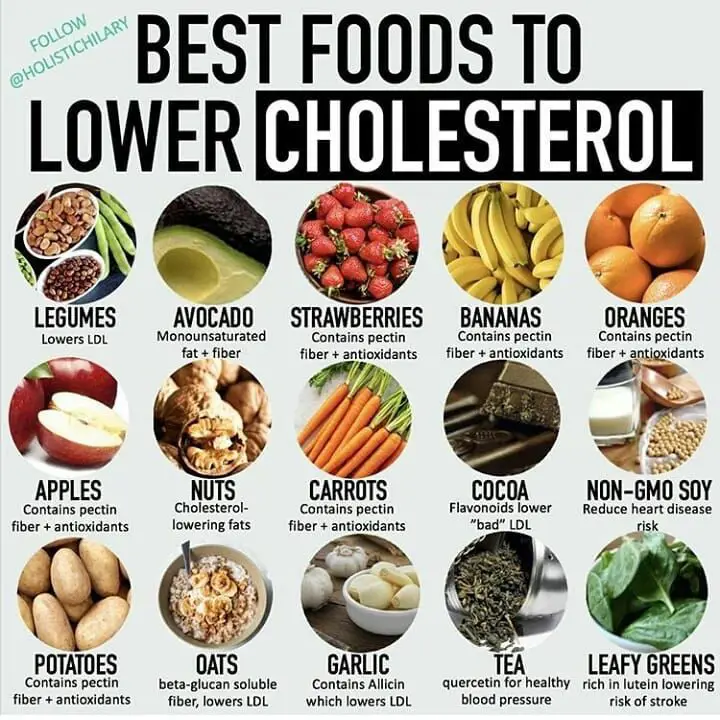 low cholesterol vegan diet plan