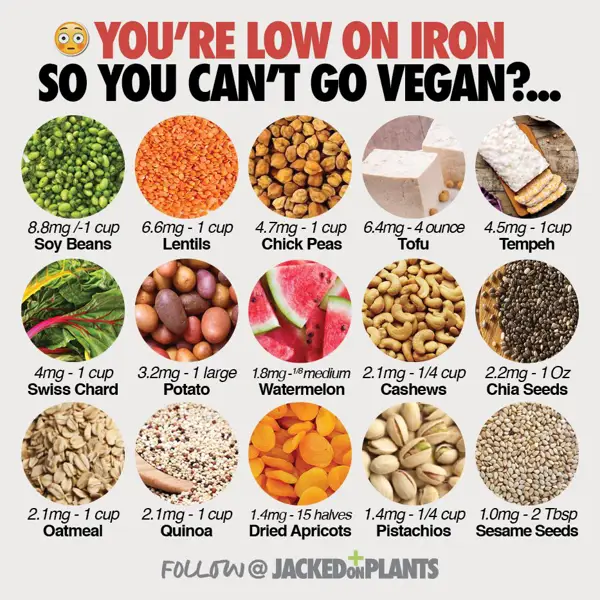 The Iron-Rich Foods Chart