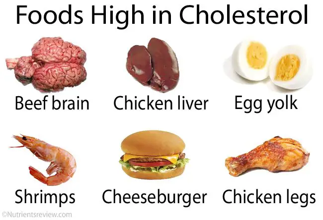 Foods High in Saturated Fat