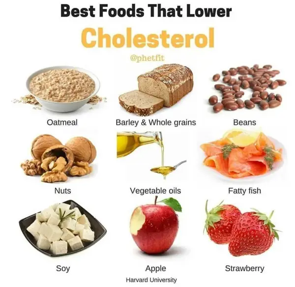 foods low in bad cholesterol