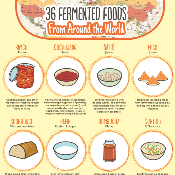 what examples of fermented foods are good for your diet and guts