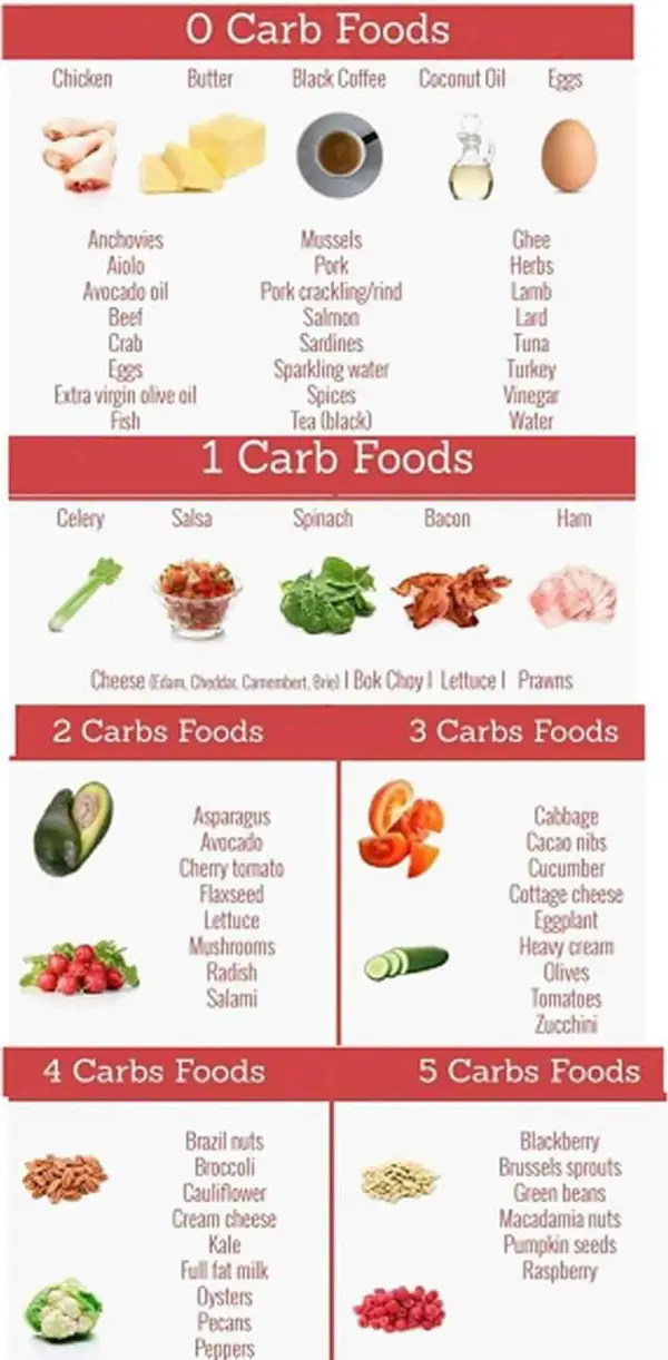 Top Low Carb Foods