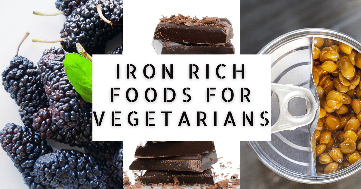 iron rich vegetarian foods pdf
