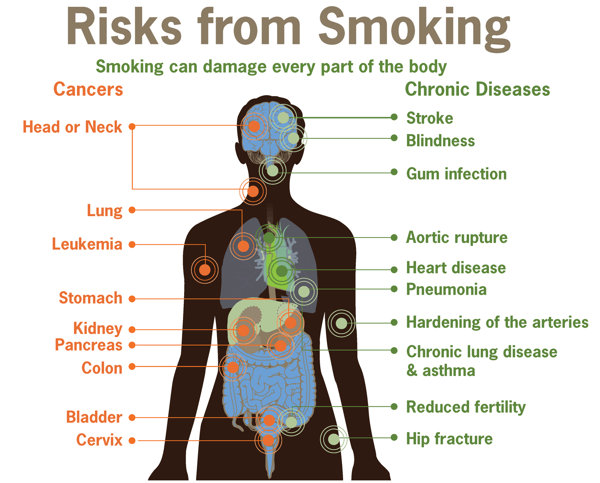 5. Secondhand Smoke and Others' Perception