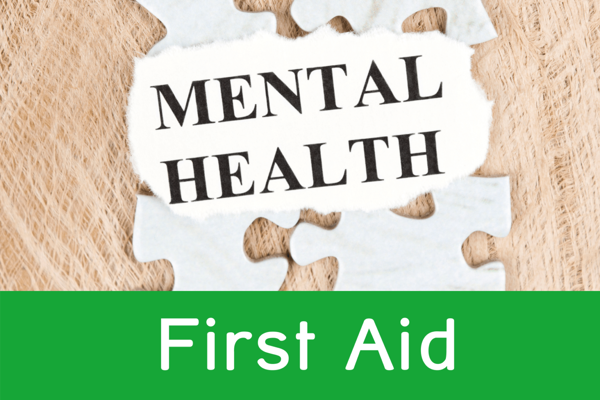 mental health first aid training in the workplace
