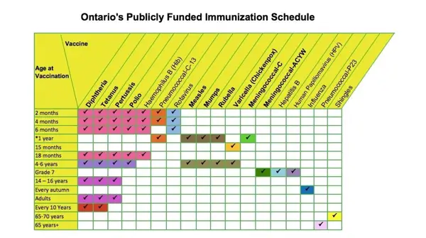 Recommended Immunization Timeline