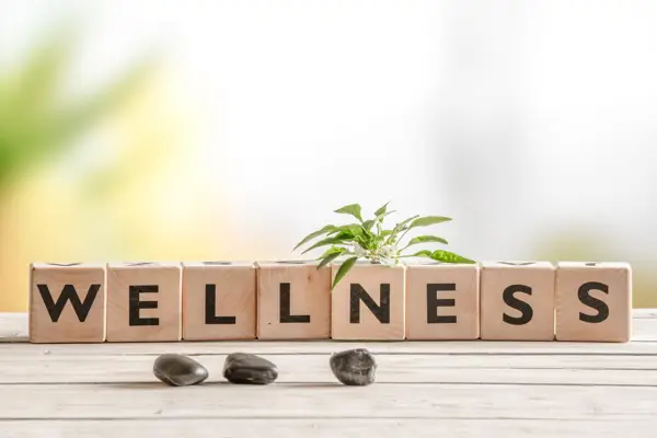 how does an individual’s self-concept related to their overall health and wellness