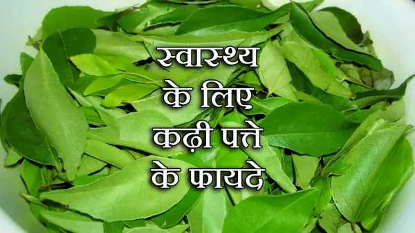 Benefits of Using Curry Leaves