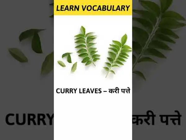 english to hindi translation curry leaves