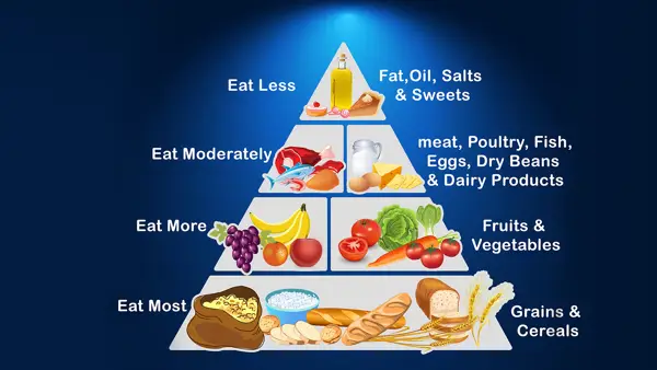 Categories in Food Pyramid: