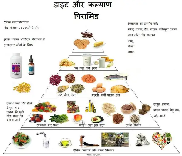 Meaning of Food Pyramid in Hindi: