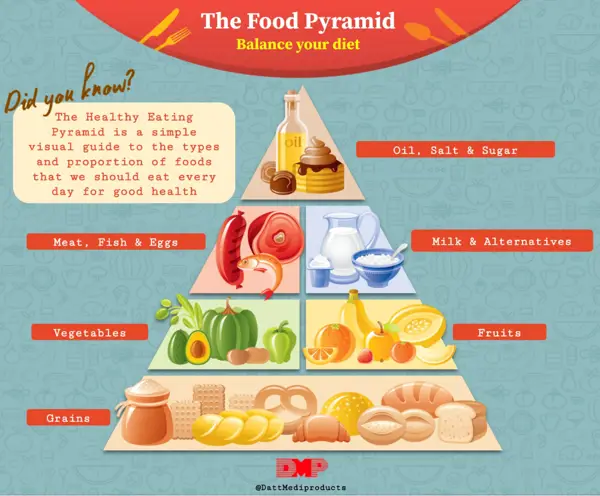 Significance of Food Pyramid: