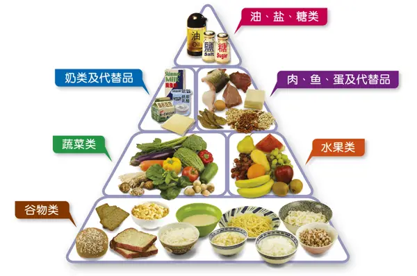 food pyramid meaning in hindi