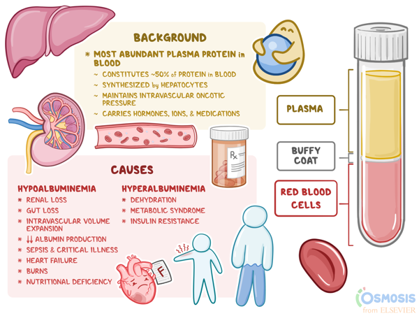 Causes of Abnormal Serum Calcium Levels