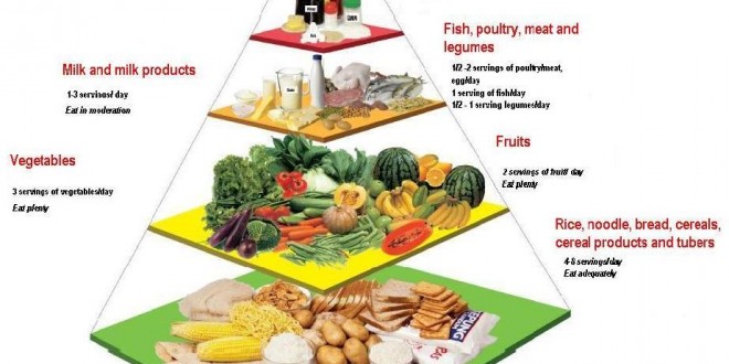 Challenges to the Food Pyramid Approach