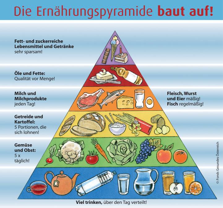 Components of the Food Pyramid