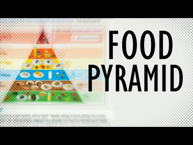 History of the Food Pyramid