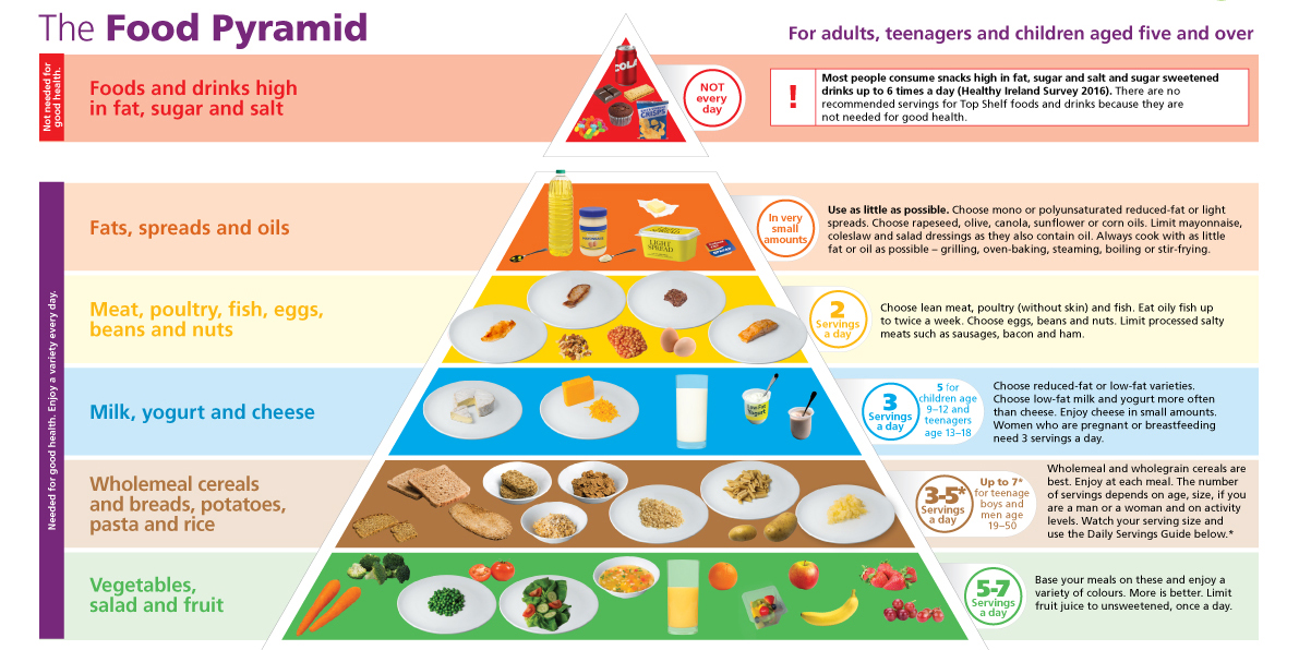 food pyramid meaning in english