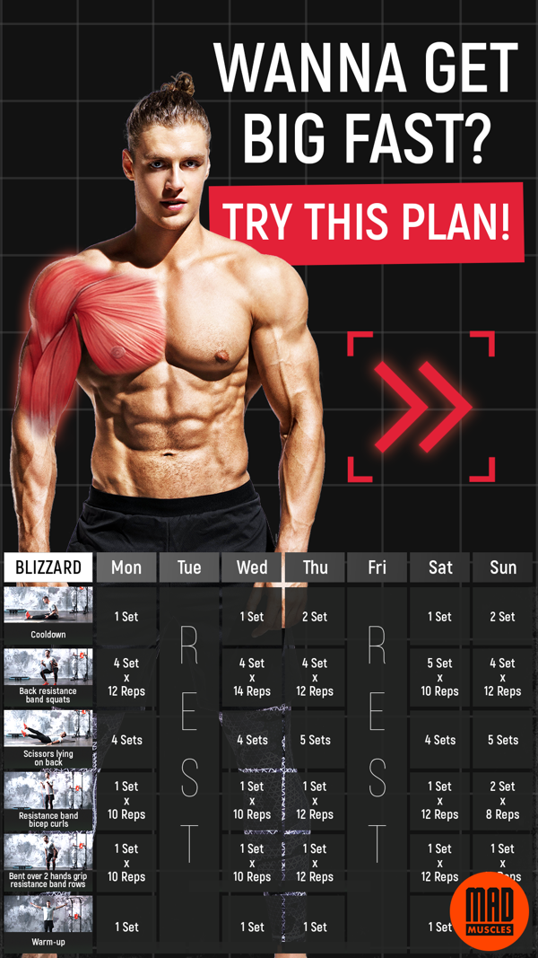 8 week workout plan muscle and strength