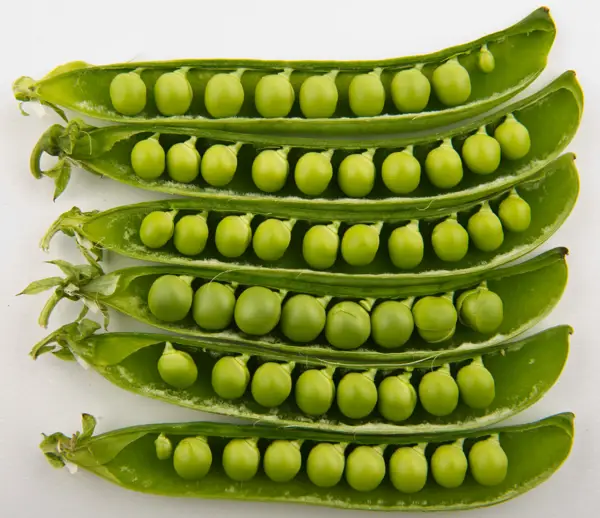 do frozen peas have nutritional value