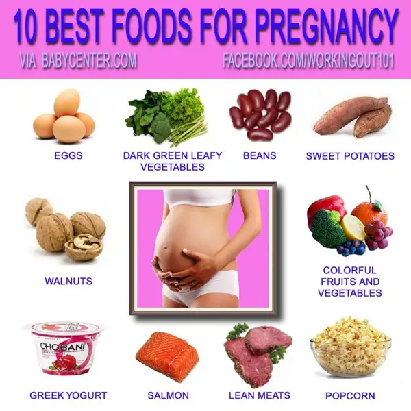 Benefits of Protein During Pregnancy